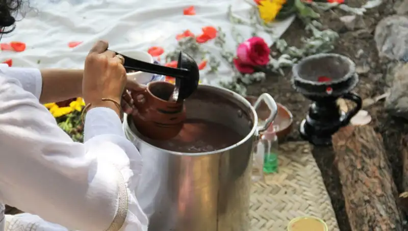 Ayahuasca: Felsefi ve Spiritüel Yolculukta Ağır Bir Hesaplaşma