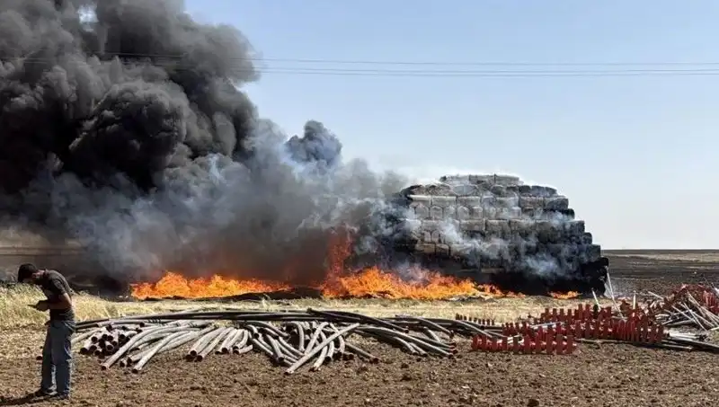 Mardin'de Anız Yangını: Tarım Alanlarını Tehdit Eden Büyüyen Sorun