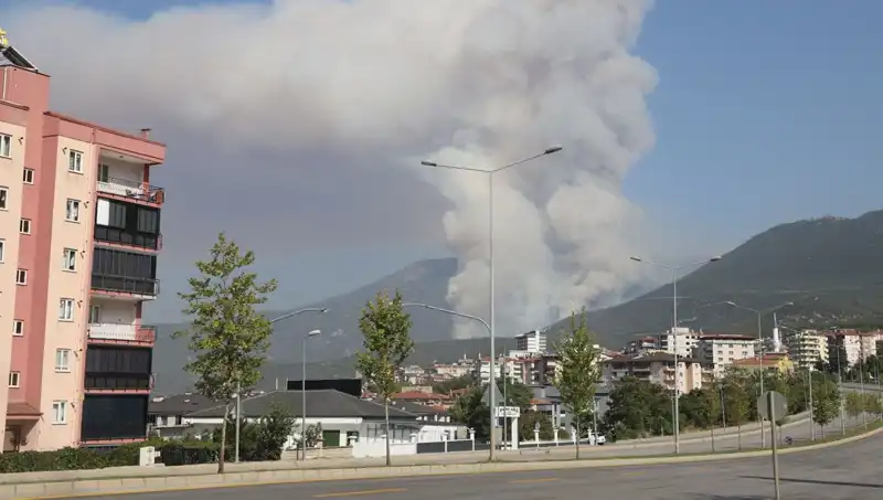 Denizli Orman Yangınında Şok Gelişme: Bir Şüpheli Gözaltına Alındı