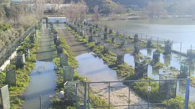 Irmak Taşması Otoyol Şantiyesini Sular Altında Bıraktı, Felaket Gözler Önünde
