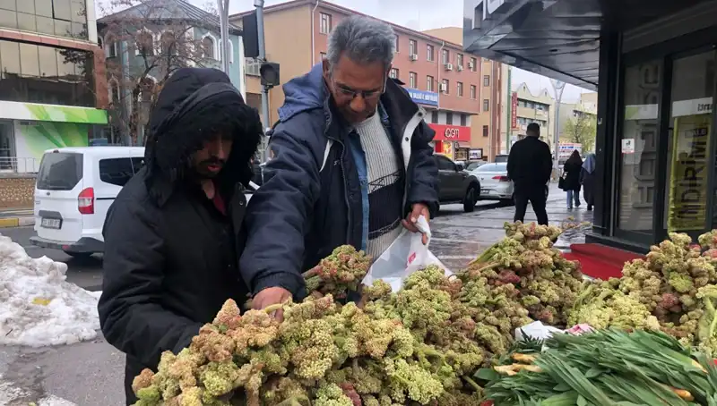 Kendiliğinden Yetişen Vitamin Deposunun Sağlığa Faydaları ve Kanserle Mücadeledeki Rolü