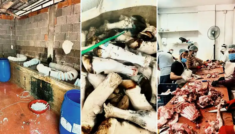 Adana’da Yüzlerce Kilo Paça Operasyonu: Sağlık Skandalı Ortaya Çıktı!