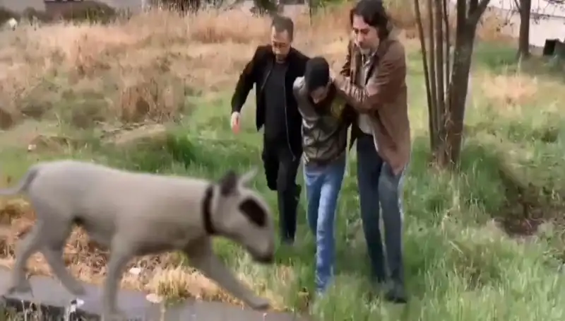 Şampiyon Köpeği Çalan Hırsız Nereye Gizlenmişti?