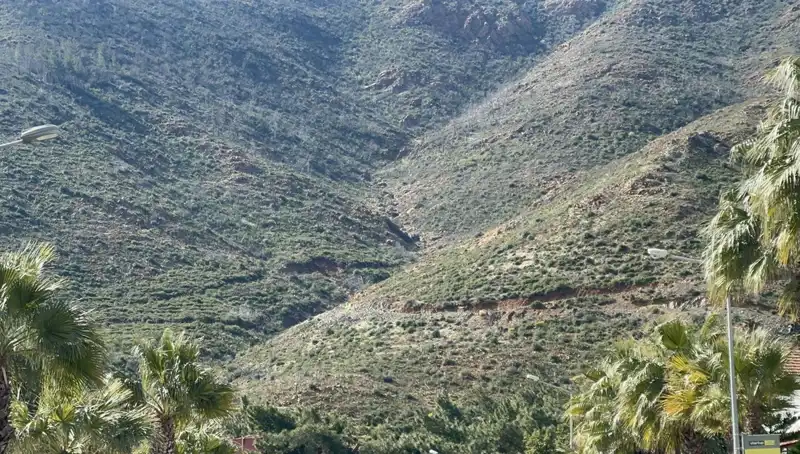 Marmaris Ormanları Yangından Sonra Yeniden Canlanıyor: Tohumlar Fidana Dönüşüyor