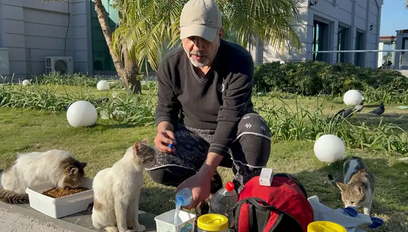 59 Yaşındaki Adamın Günde 8 Kilometre Yürüyüşüyle Elde Ettiği Merhamet Dolu Başarı
