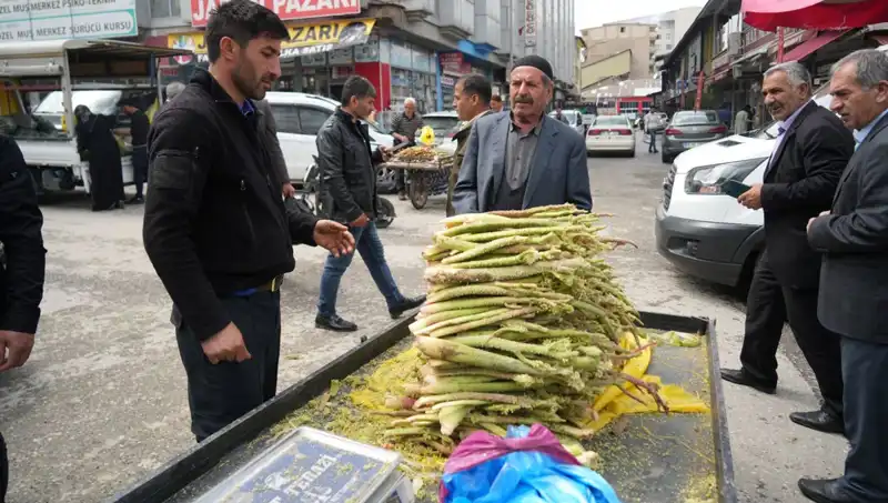 Şekerin Sağlık Faydaları: Dağlık Bölgelerdeki Mucizevi Bitki