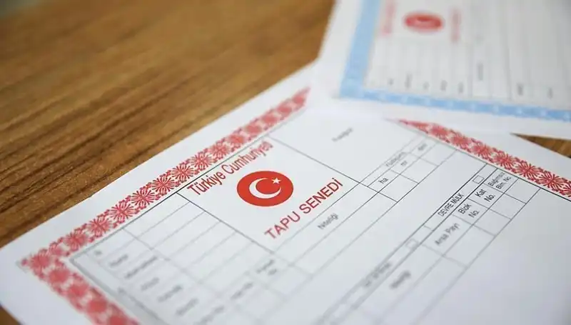 100 Milyonluk Dolandırıcılık: Hisseli Tapu Tuzağına Dikkat!