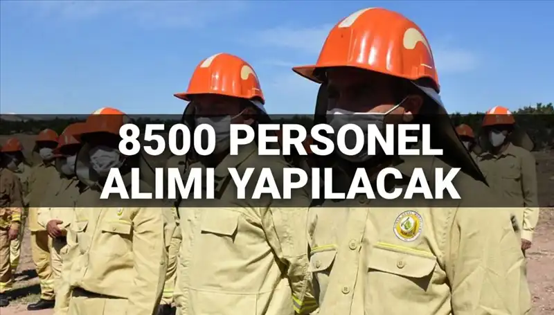 2025’te Tarım ve Orman Bakanlığı 8500 Personel Alımı Duyurusu: Şartlar Neler?