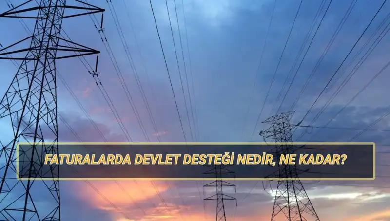 2025’te Fatura Destekleri Değişiyor: Doğalgaz ve Elektrik Faturasını Hangi Aileler Alacak?