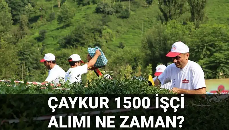 Çaykur İşçi Alımı Başvuru Tarihleri Açıklandı! İşte Son Gelişmeler