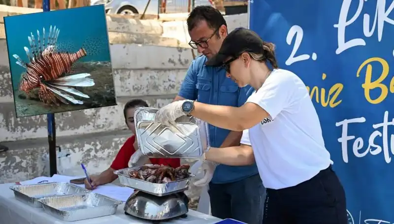 Antalya'da İstilacı Aslan Balığı Avlama Yarışı: Denizleri Koru, Eğlen!