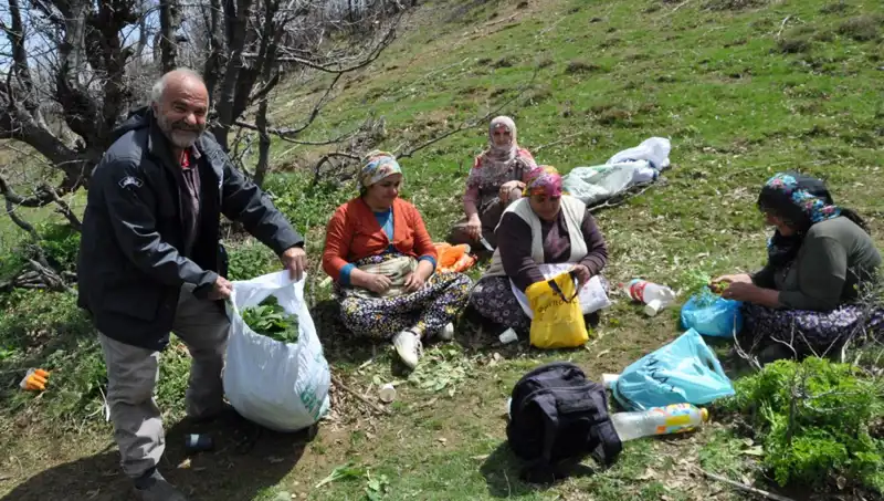 Yürüyerek Topluyorlar: Yüzlerce Ailenin Geçim Kaynağı 250 Lira Değerinde