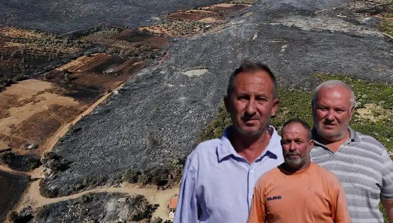 Çeşme Yangınında Yıkım: "Her Şeyim Gitti" Diyenlerin Acı Hikayeleri
