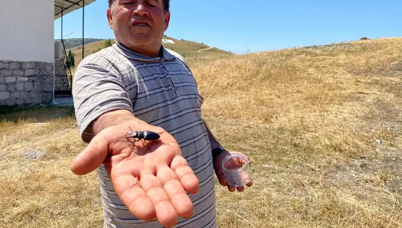 Sivas’taki Özel Böceğin Ölümü İçin 557 Bin TL Cezası Var!