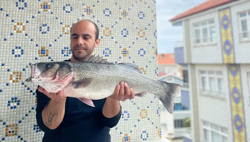 7,5 Kiloluk Dev Levrek, Balık Avcılarını Heyecanlandırdı!