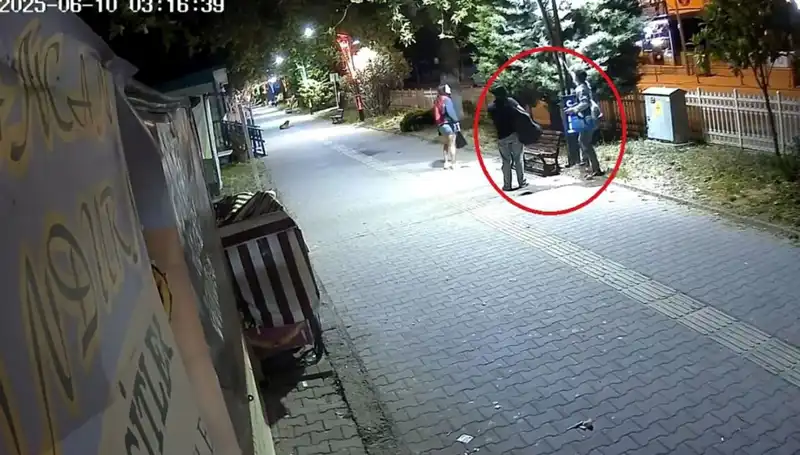Aydınlatma Direklerinden LED Işıklarını Sökerek Şehre Zarar Verdiler
