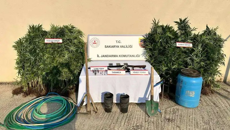 Sakarya'da Şok Uyuşturucu Operasyonu: Bir Kişi Tutuklandı!
