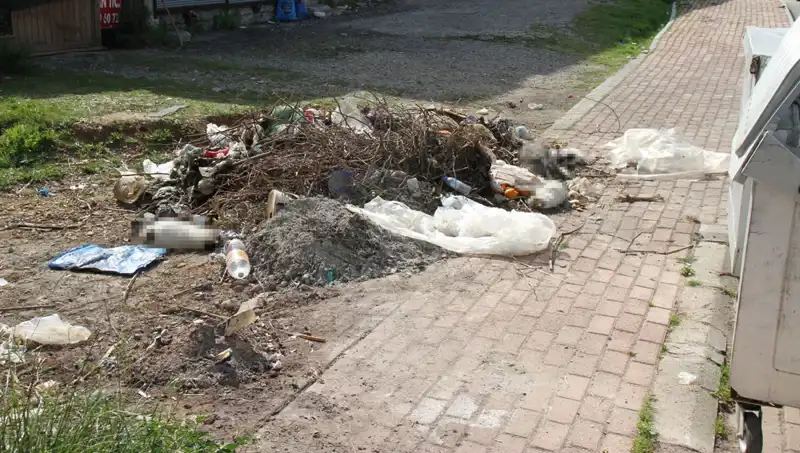 Antalya’da 10 Kedinin Ölümü: Vahşetin Ardındaki Sebepler Ne?