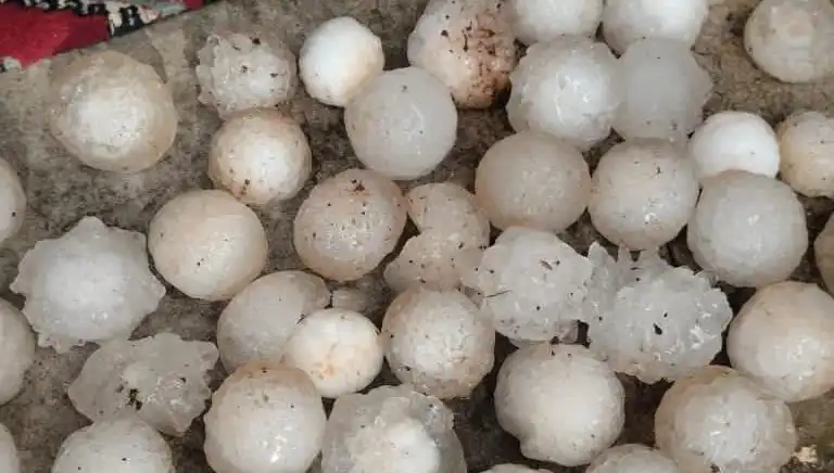 Şanlıurfa'da Kar Topu Büyüklüğünde Dolu, Tarımı Tehdit Ediyor!