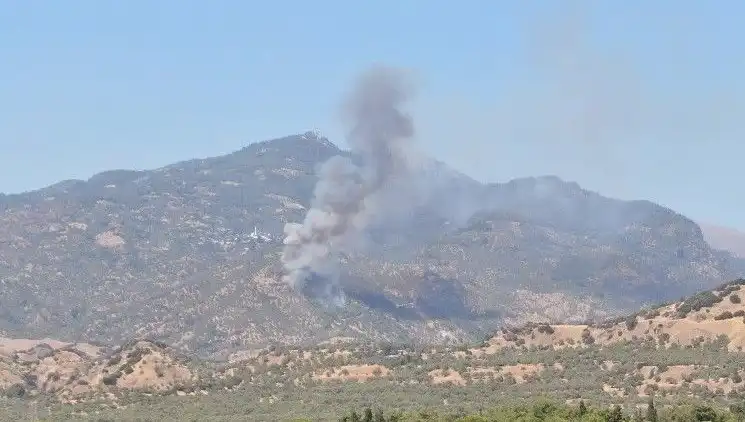 Aydın'da Yangın Panik Yarattı: Zeytinlik Araziler Alev Alev Yandı