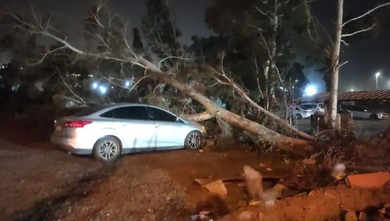 Hatay'da Şiddetli Fırtına: Tekne Alabora oldu, Ağaçlar Devrildi