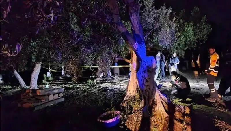 Çiftlikteki Baltalı İnfaz: Vahşetin Ardındaki Sırrı Kim Çözebilecek?