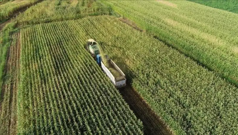 2025 Mazot ve Gübre Desteği Ödemeleri: Son Gelişmeler ve Beklentiler
