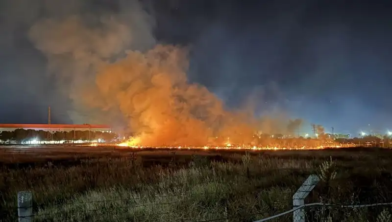 İzmir'de Gece Yarısı Yangını: Paniğe Neden Olan Olay Nedir?