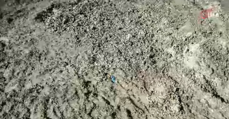 İstanbul'da Kayıp Çinli İş İnsanı: Toprağa Gömülü Bulundu