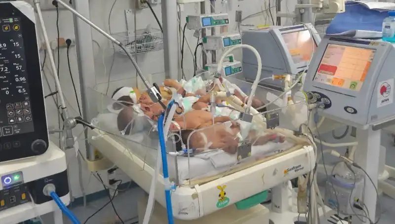 Gazzeli Doktorlar Kriz İçinde: Çoklu Bebekler Tek Kuvözde Yaşıyor