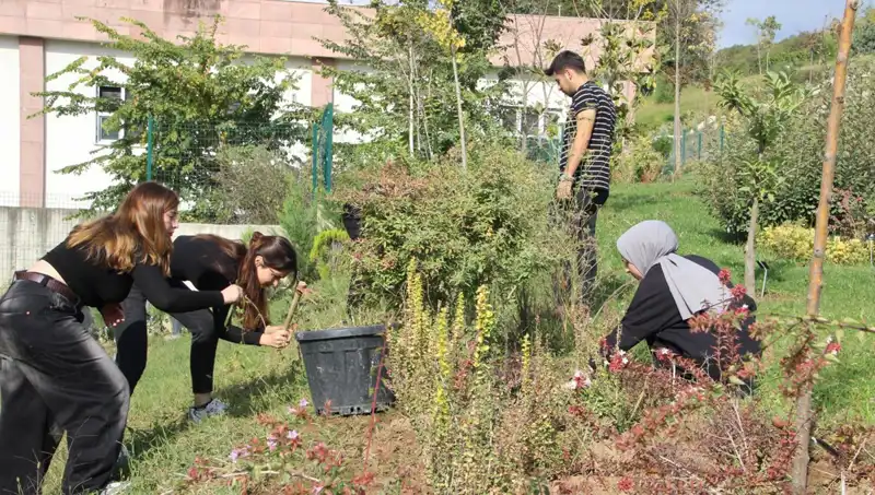 Düzce'nin Hayalinden Dünyaya Açılan Kapı: Başarı Hikayesi