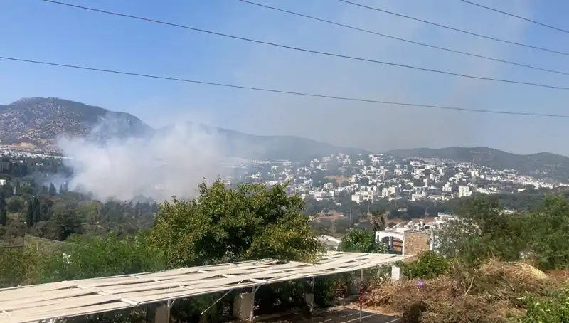 Muğla Orman Yangınları Kontrol Altına Alındı: Detaylar ve Son Durum