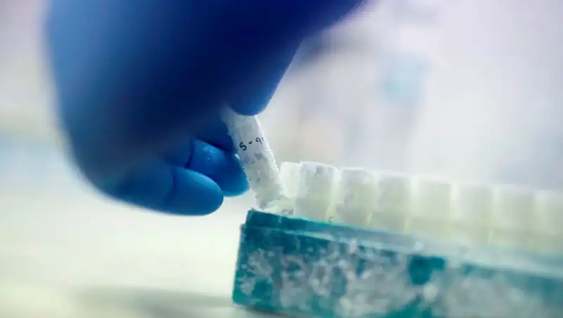 Tıbbi Felaket: 85 Sperm Donörü Binlerce Çocuğa Baba Olmuş!
